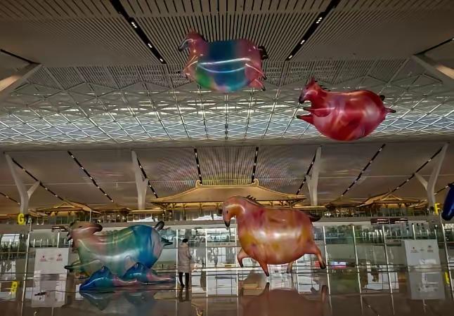 全世界也只有西安，能干出这样的事——机场扩建挖出4000多座古墓，干脆在航站楼里