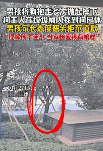 近日，浙江温州，一女子带着小宠物狗出门遛弯，由于未给小狗拴绳，小狗跟在女子的身后