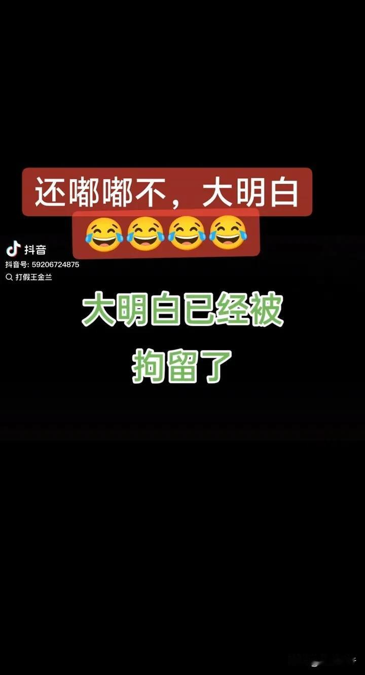 之前经纪人费佬谈到杜记者那篇采访他的关于云朵刀郎关系报道时，在其账号评论区和樊总