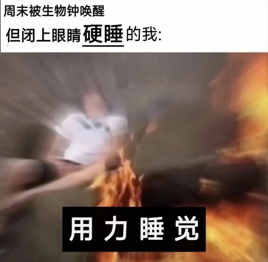 梗图分享​​​