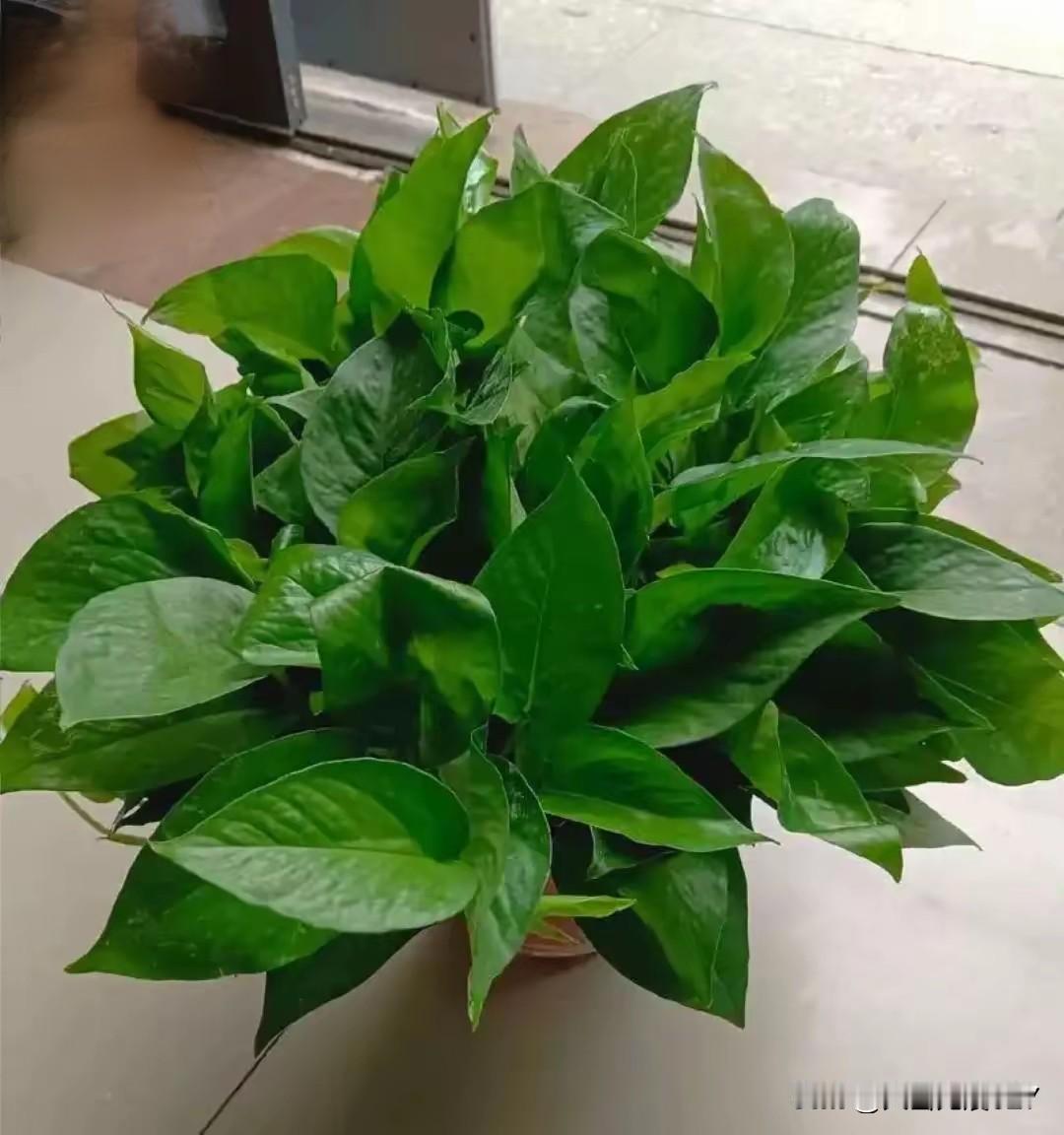 楼下便利店老板是个沉默的大叔，平时买东西很少说话。昨天晚上，我很晚才去买烟，随