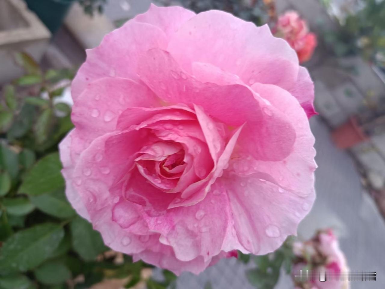 把女朋友的贴身衣物和袜子卖了，女朋友要分手，这样恶心的男人，活该被分手。一男子，