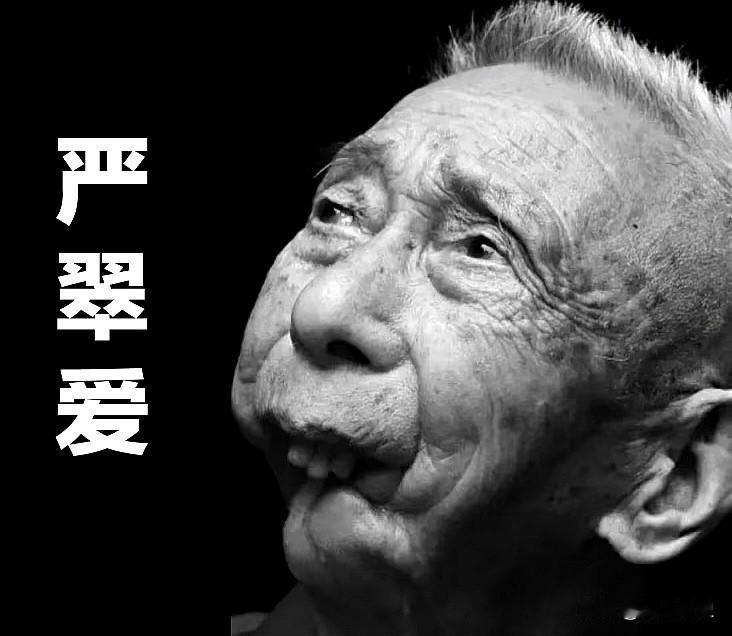 1937年，全面抗战爆发，日军铁蹄践踏国土，烧杀抢掠无恶不作。20岁的严翠爱目睹