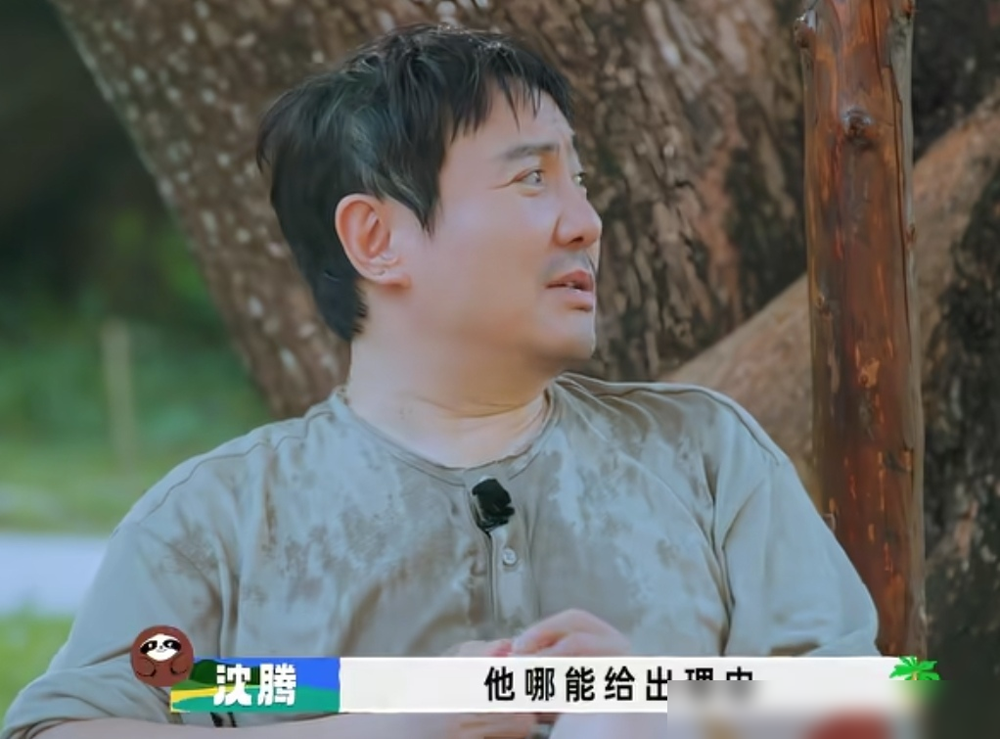 王安宇这一票投下去，沈腾直接笑出声了。贾冰刚说完我真不是卧底，王安宇手就举起来了，白敬亭在旁边拉都拉