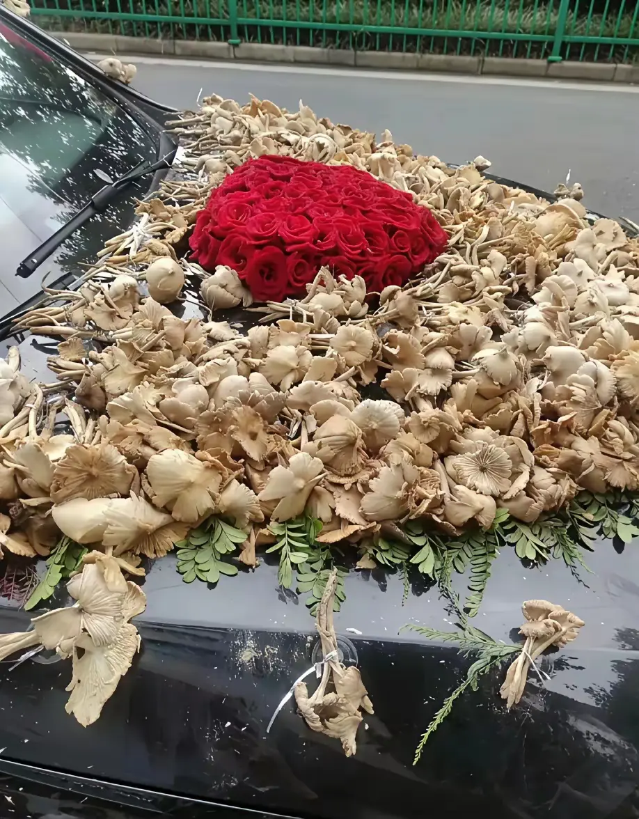 这就是独属于云南人的婚车嘛！