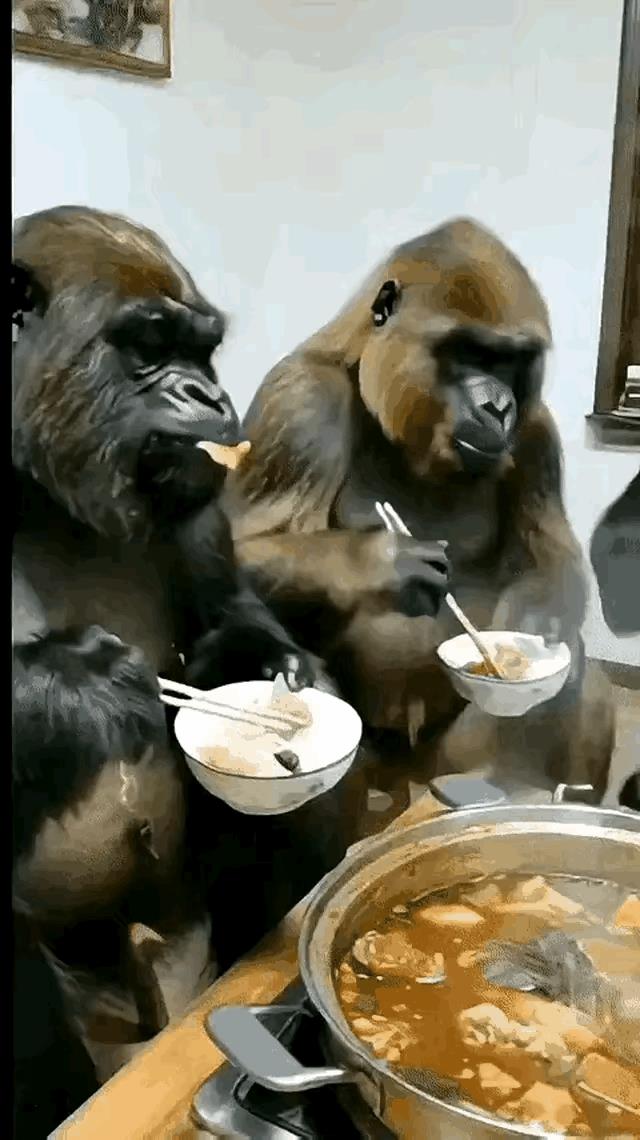 来到中国就是好美的很来来来吃火锅反正他们给钱花不了根本花不了[抠鼻]