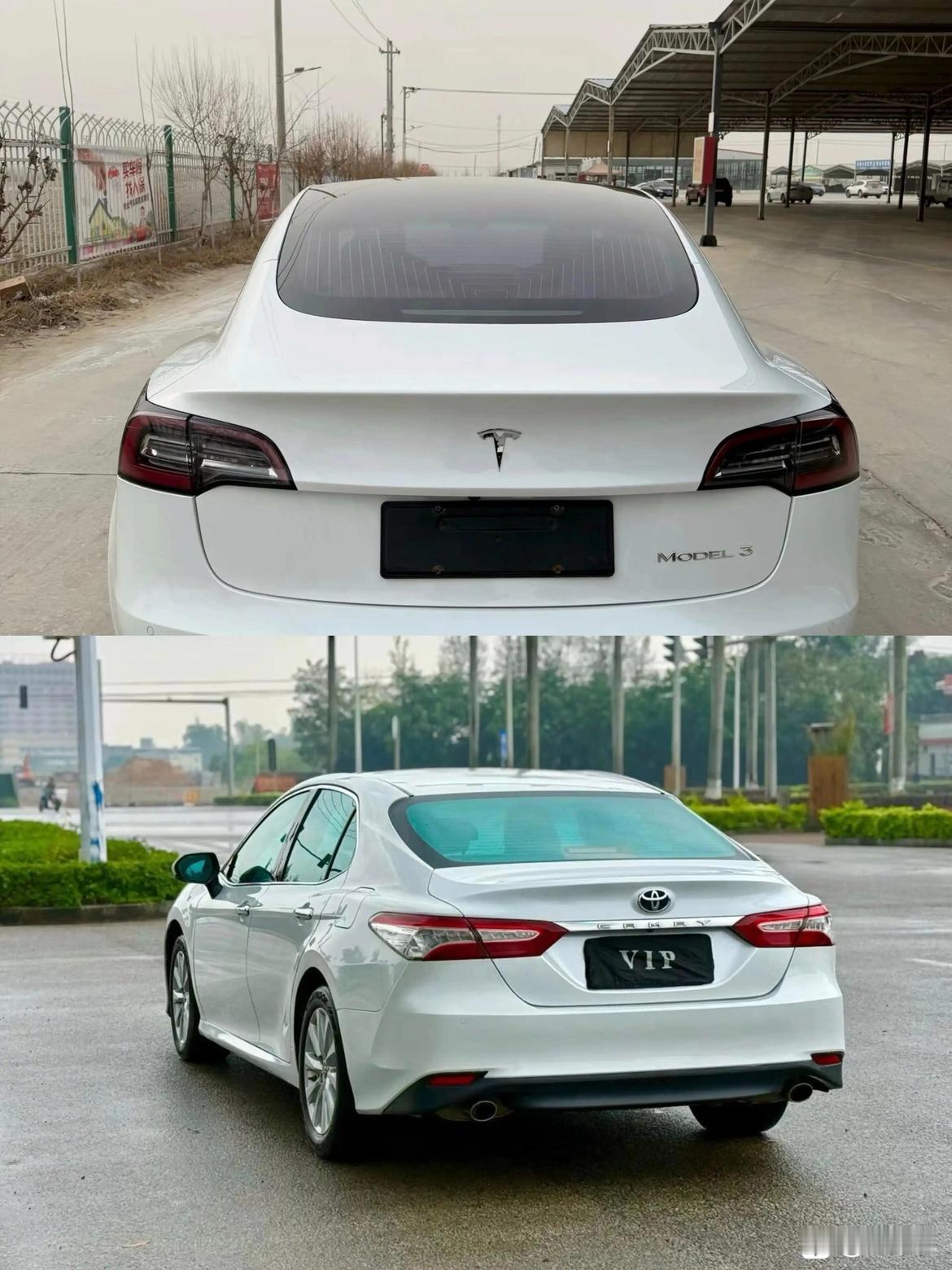 我现实中认识的几个朋友，年龄在22-35岁之间，都一致认同电车只分特斯拉和其他，