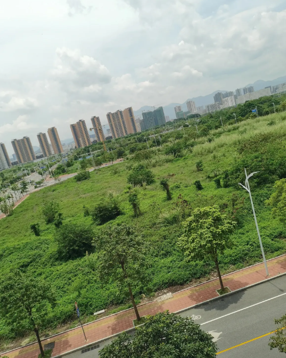 一巴掌把一个家打散了。婆婆听说儿媳妇怀孕了，非常高兴，自告奋勇的要去照顾，儿子