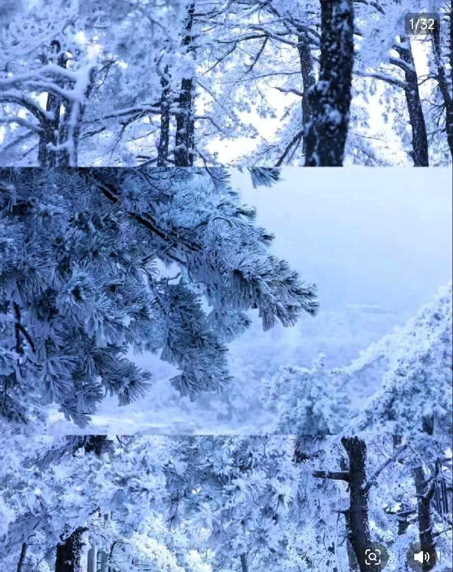 提前给大家提个醒，厚衣服要备好了元月17号，咱们就正式进入四九天了。老祖宗传