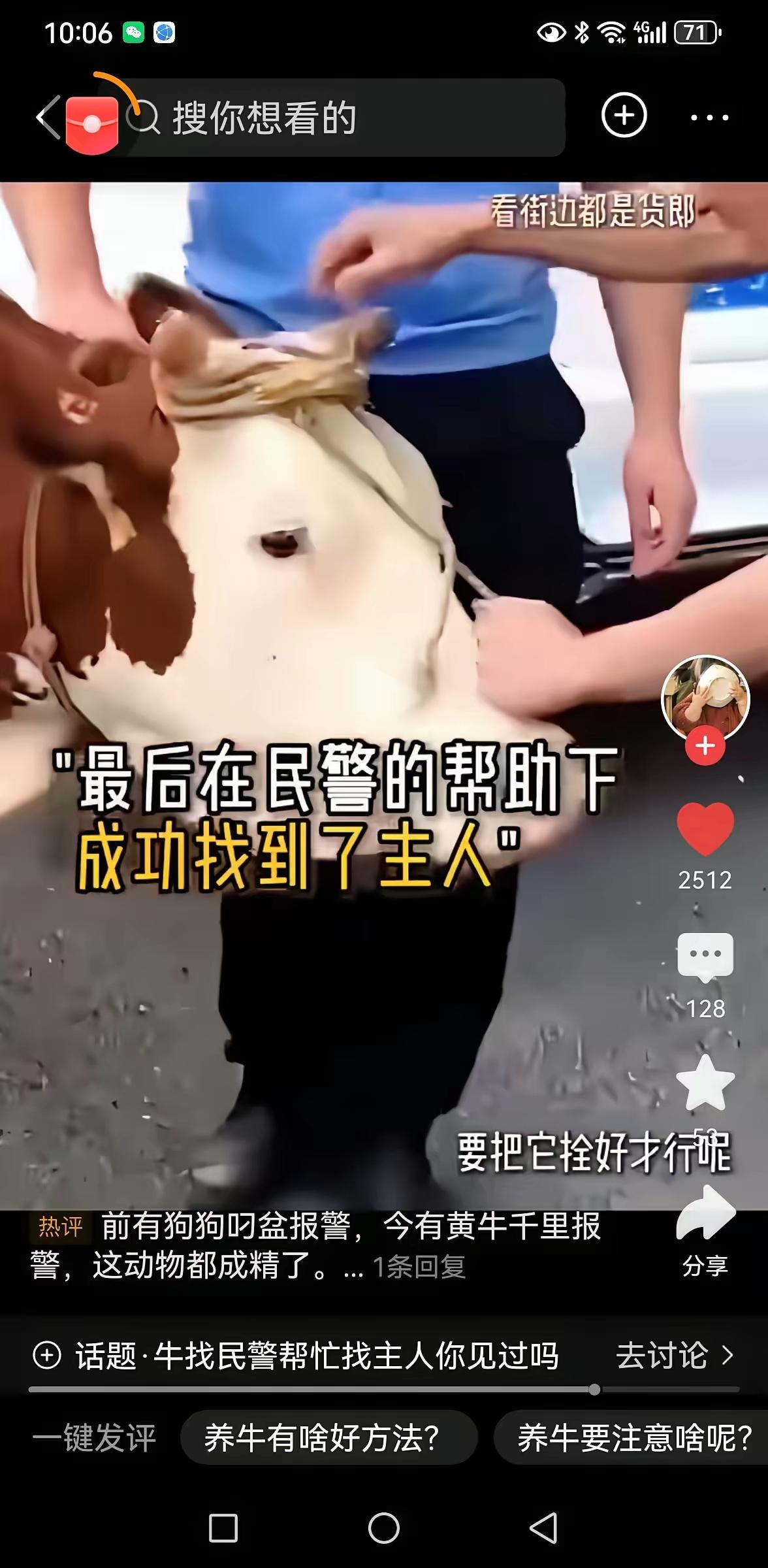 湖北这头老牛简直成精了！70多岁的周大爷把牛赶到山上吃草，自己去办事结果忘了时间