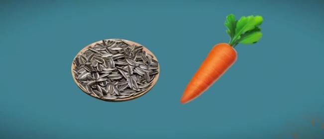 〔看图猜地名〕图中画面真有乐；谐音猜个地名来；瓜子还有胡萝卜；这个城市山