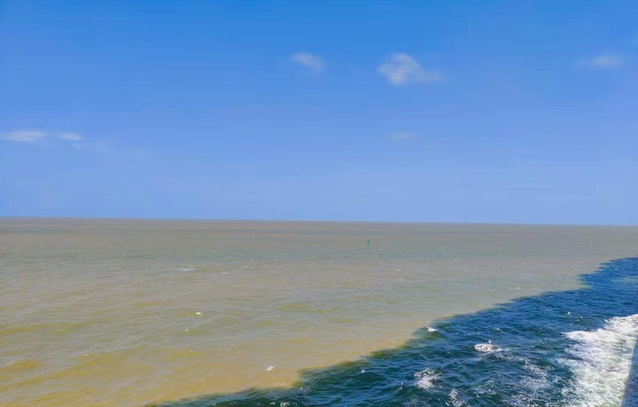 女人幕强，男人好色。在男女关系中，你一定要知道的“铁律”寡妇最怕深夜长，光棍