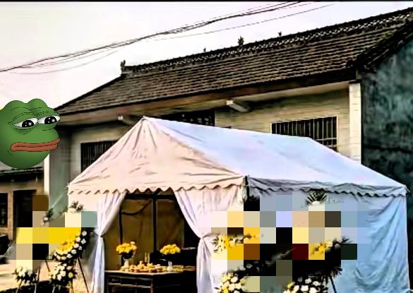 最近村里所有人，都在悄悄讨论程梦圆姑娘的事。最让人心里一动的，是家里人的一个特殊