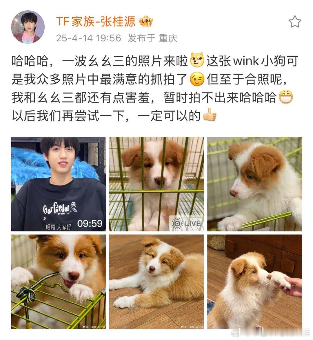 张桂源带着狗狗出现​​​