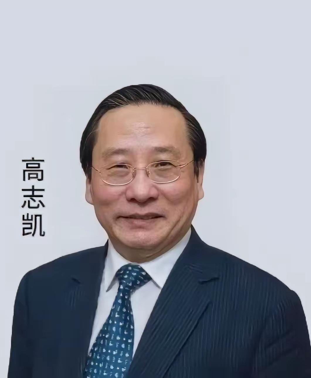 家人们，高志凯在外网跟西方硬刚的那段话，最近简直火出圈了！好多朋友都跟我说，听得