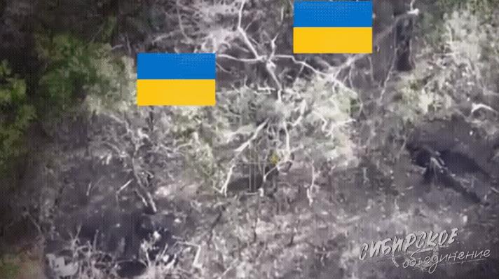 兵不厌诈！一名俄军太狡猾了，躲在一个散兵坑内伏击了两名过路的乌军。两名乌军太过