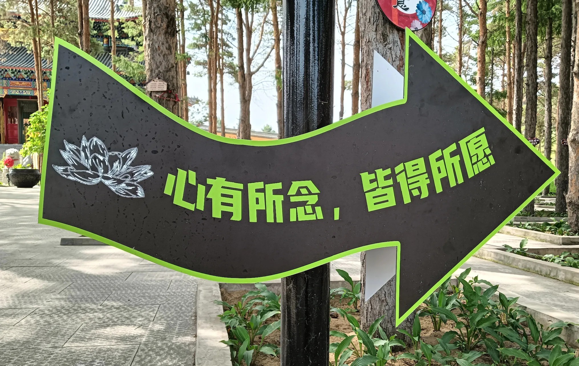 我老公信佛，人很虔诚。可当我怀第二个孩子时，我还是坚决做了人流。有时我会想，要是