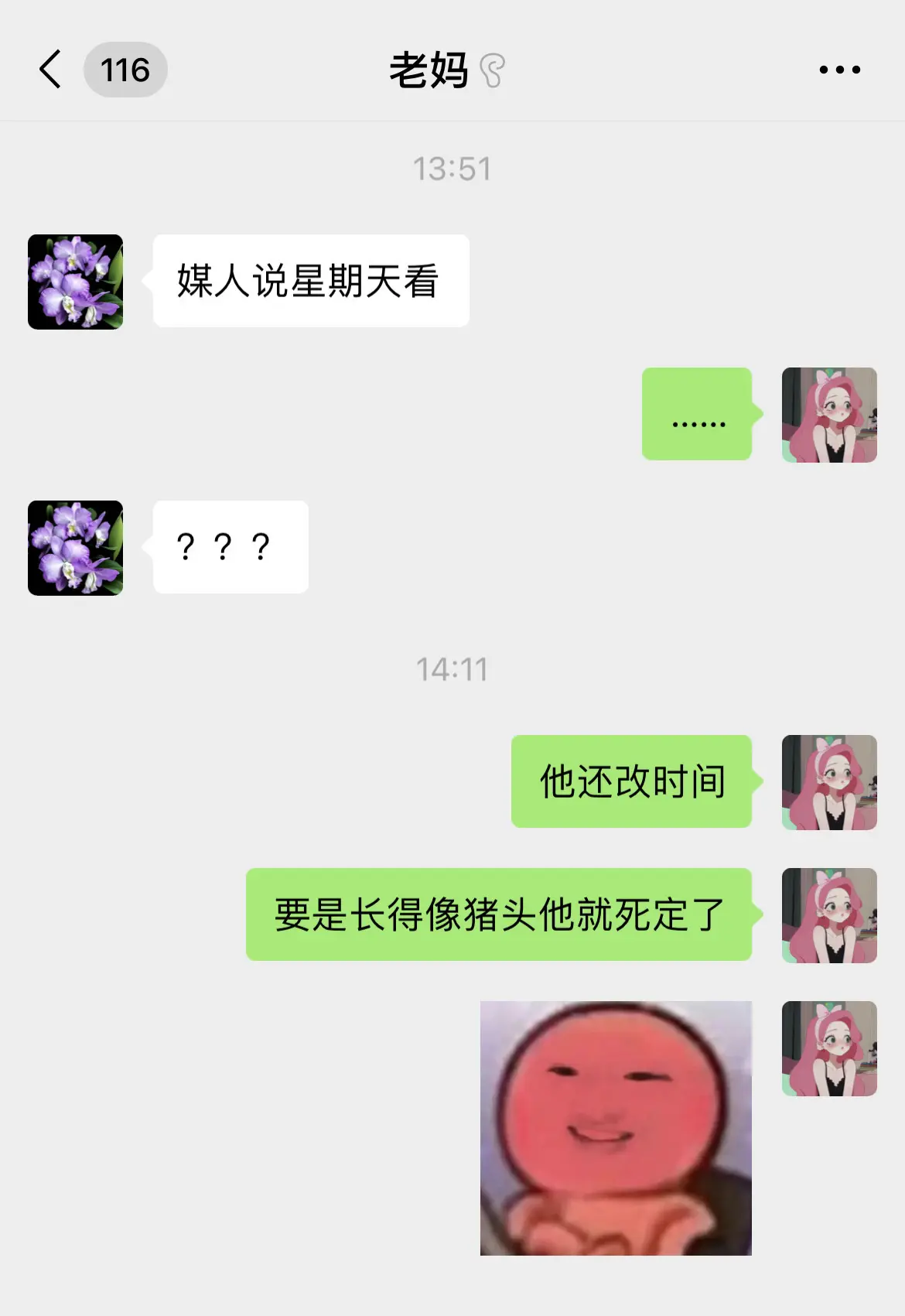 天天催相亲，我真的没办法了