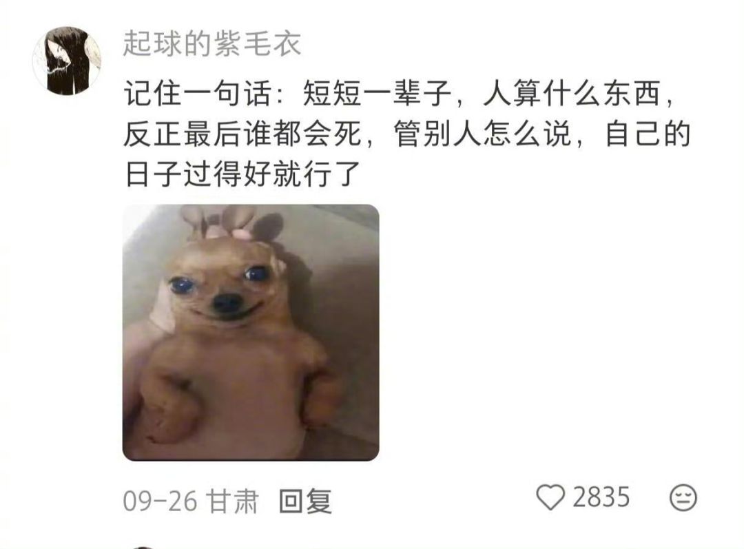 自己的日子过得好就行了