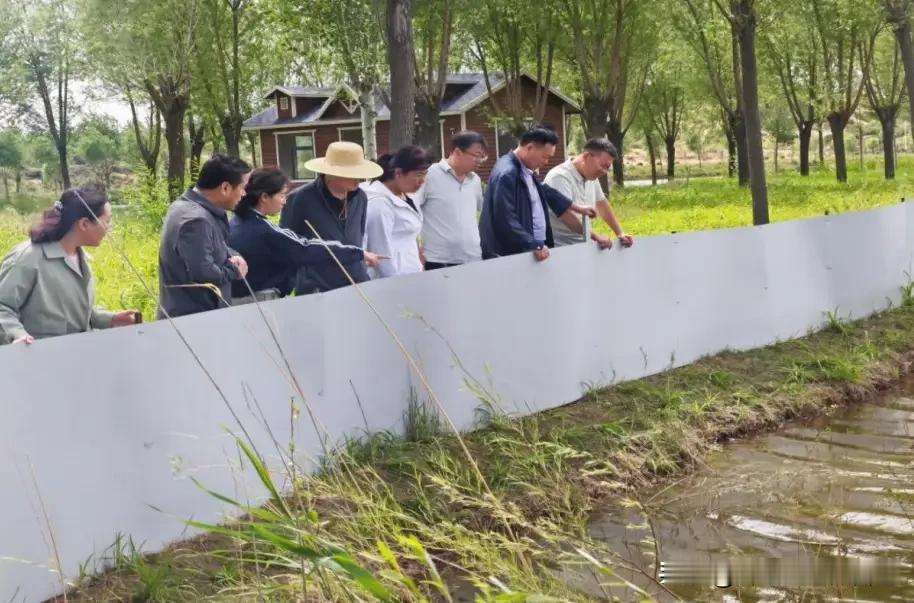 省里专家亲临榆阳！黄土高原养鱼养虾越干越红火🔥家人们，省农业农村厅专家专
