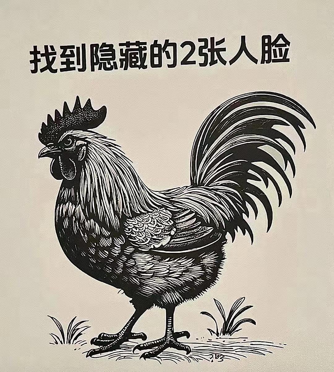 脸型有两张，就在图中藏。细辩好半天，满眼是迷茫。不解图中意，惆怅满胸堂