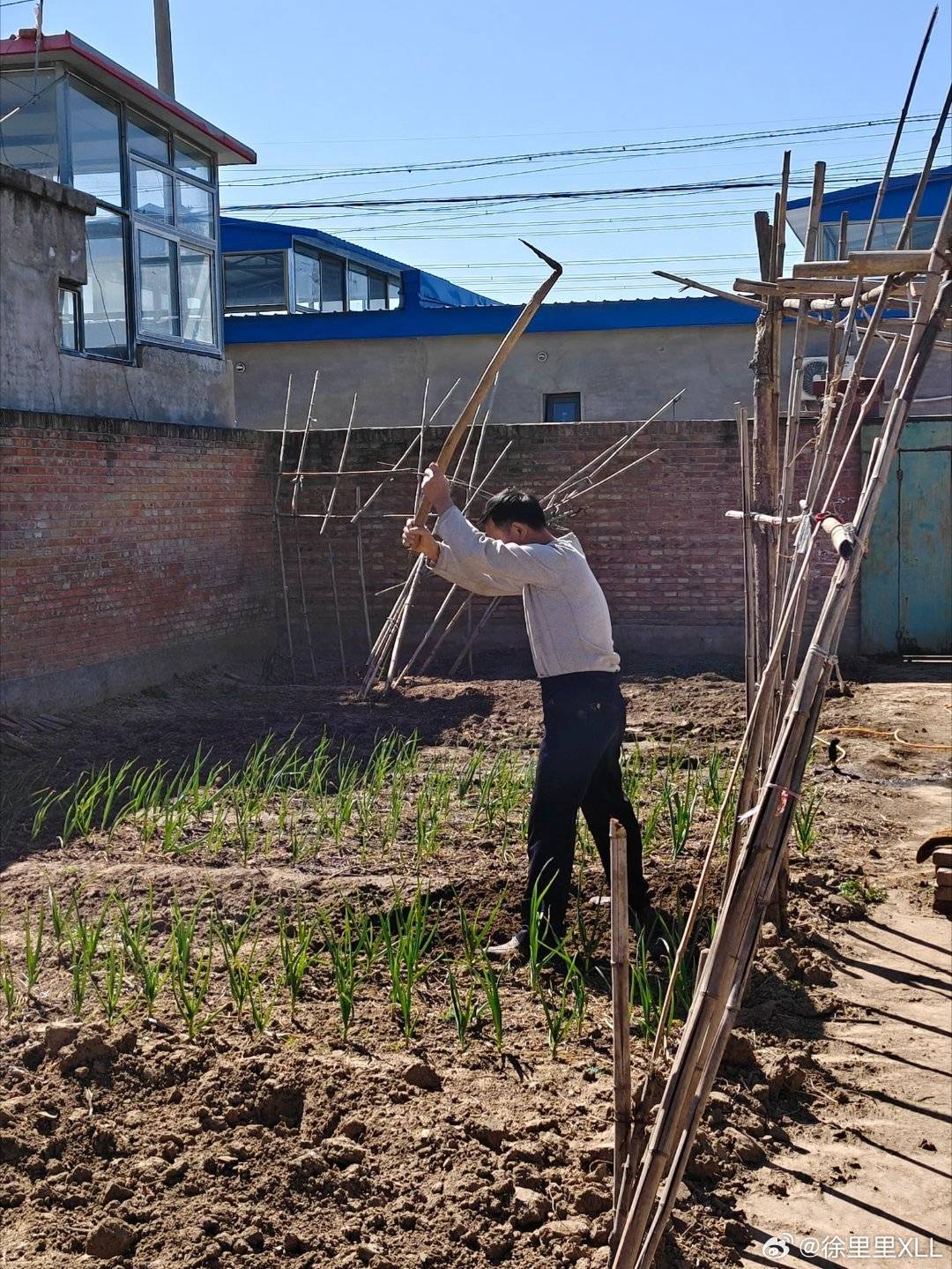 不是有人想知道技工组的工作吗？图1是。图2是。