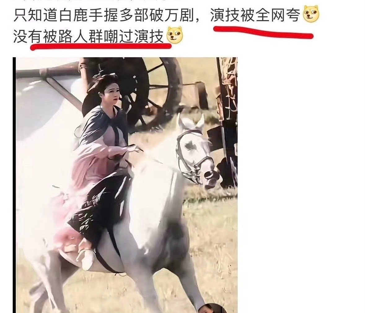 白鹿的演技路人们都认可吗？