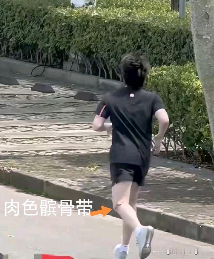 看到头哥和队友们一起在封训基地跑步的视频。阳光正好，国乒这一群充满阳光和活力的小