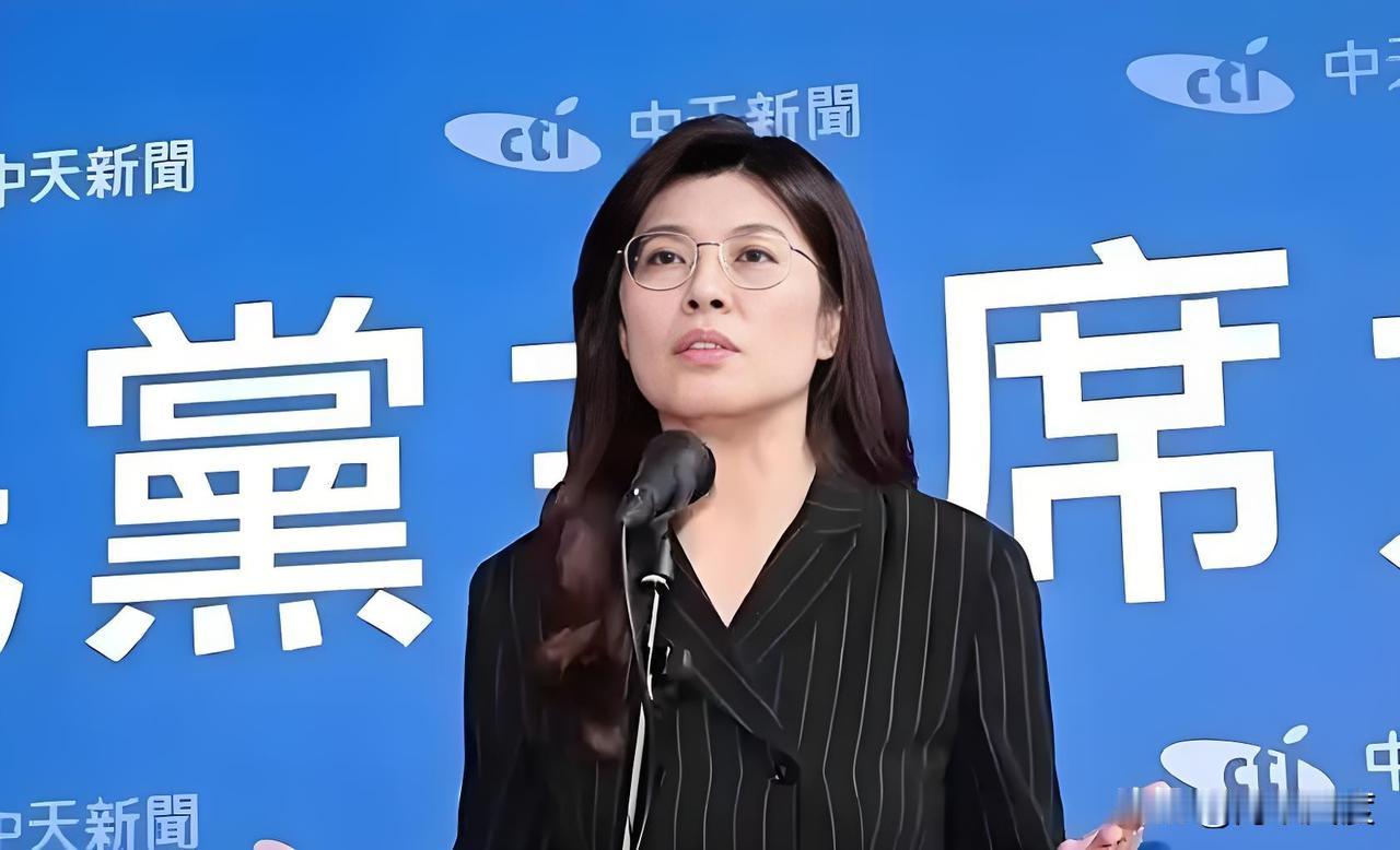 “给盗粮而资寇兵”赵少康要亲手埋葬国民党，诸侯依然装睡叫不醒吗？虽称百年大党