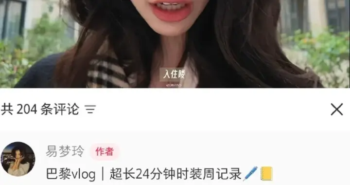 知名博主易梦玲称“巴黎出差行李在机场被盗”: 登机箱和随身包一转身就没了, 相机设备、旧护照全部丢失, 后续的工作也耽误了