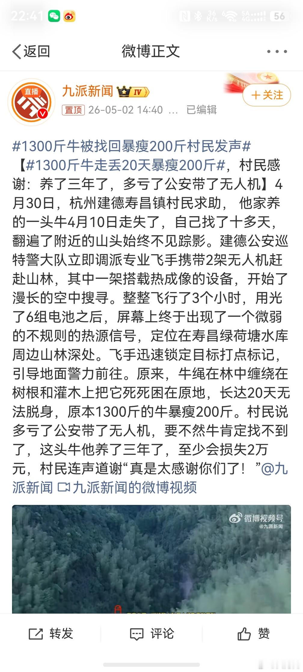 1300斤牛走丢20天暴瘦200斤，一方面可怜这头牛，另一方面我得出一个结论，大