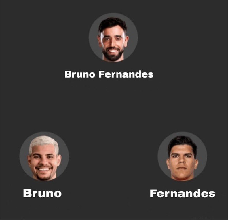 又到了我最喜欢的冷笑话时间IhaveaBrunoIhaveaFern