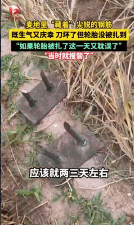 “缺德冒烟了！”6月5日，河北临漳，一女子开车收割麦田时，突然看到不远处“藏着”
