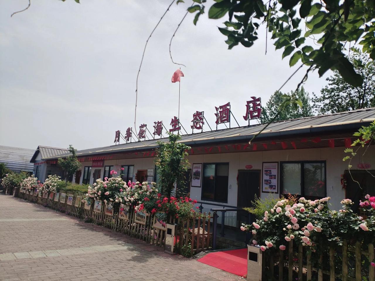 五一小长假来临，到哪里玩能分分钟拍出美片？那一定是来卧龙月季花海！卧龙月季花海