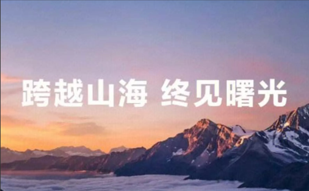 2024年，华为手机国内卖了4600万部2025年上半年华为手机国内出货量25