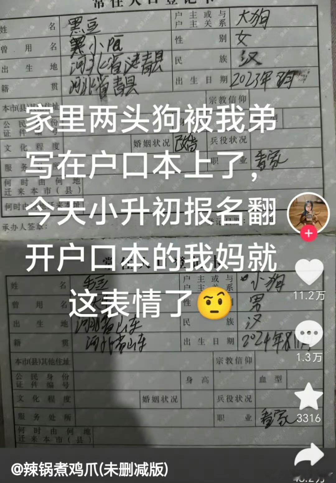 狗子这辈子没白活，上户口了​​​