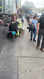 开始还以为这是中国的乡村小镇，可没想到这竟然会是美国的唐人街，而且这些在路边摆摊