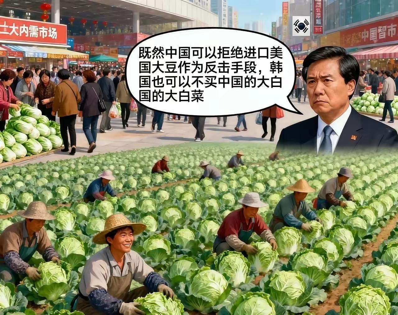 韩国拒买白菜中国内需无忧，韩国泡菜危机！韩国智库最近冒出个主意，说要不买