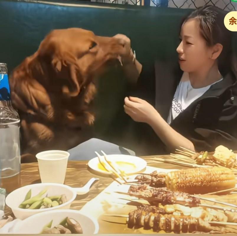 女生带狗在外吃烧烤，竟直接让狗上桌用嘴撸串。只见狗站在椅子上，女子在桌子上拿