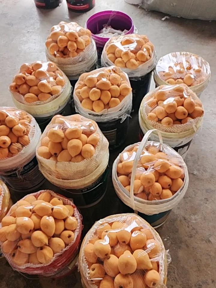 管它地缘如何冲突！明天坚定看多A股！盘中重点跟踪：1.科技成长的AI算