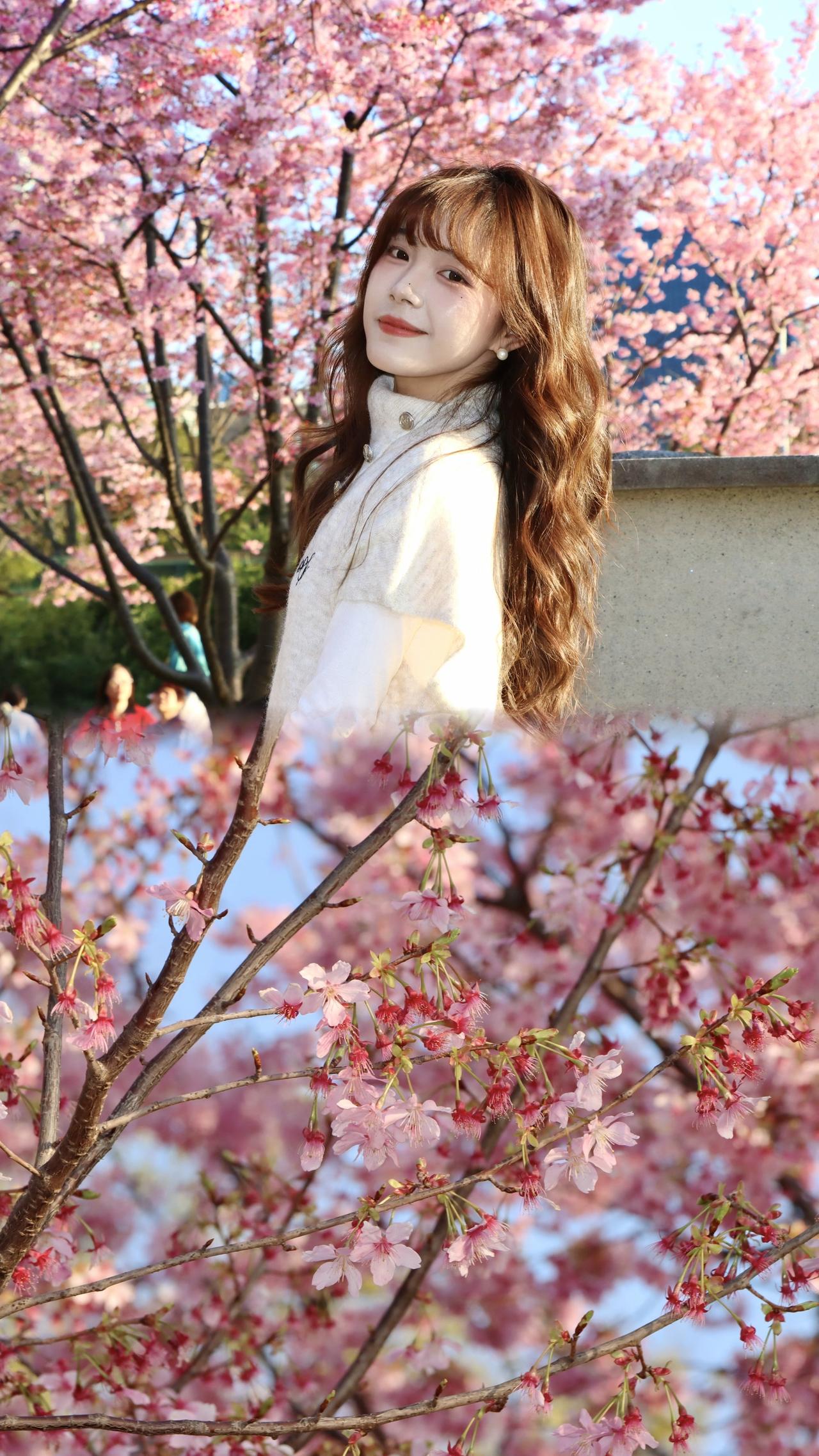 早春穿搭公式:温柔系针织+蕾丝纱裙春日赏花🌸太适合配啦早春穿搭我将用多