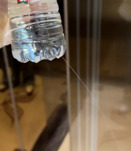我同事老刘，去年出差住酒店，口渴了看到床头柜上摆着两瓶水，上面写着“免费”，咕咚