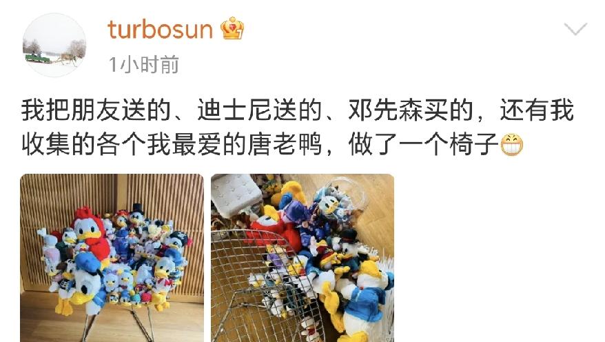 孙俪，太能干了10月11日晚上，孙俪更新了社交动态，看完她分享的图片，不得