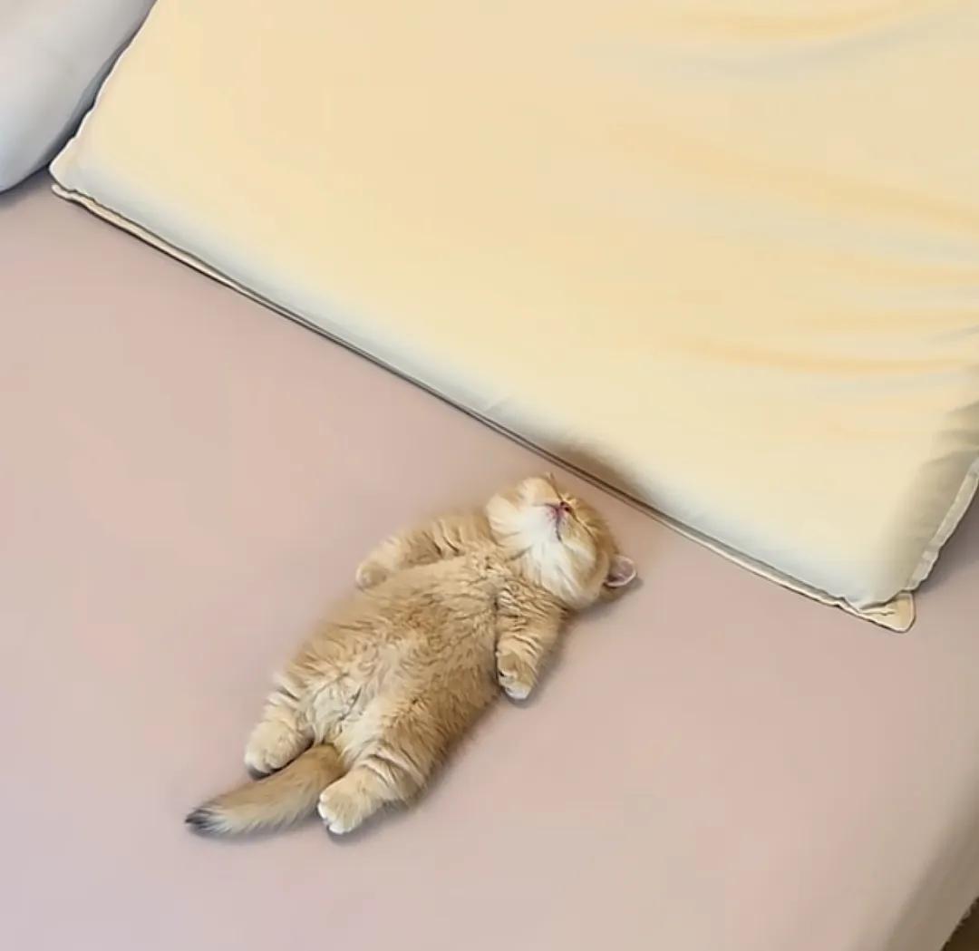 普通投资者最有效的原则与交易认知（一）段永平有很多值得我们学习的理念，但我们