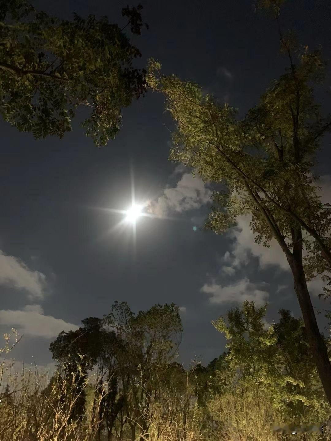 一次军训结束后领导组织聚餐，领导问我去不去，由于我家有三个孩子，如果我去了