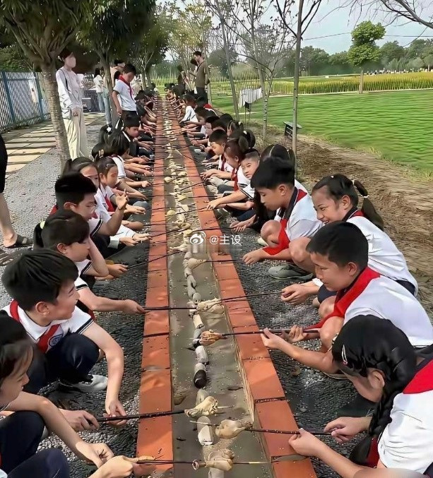 这样的活动有意义吗？