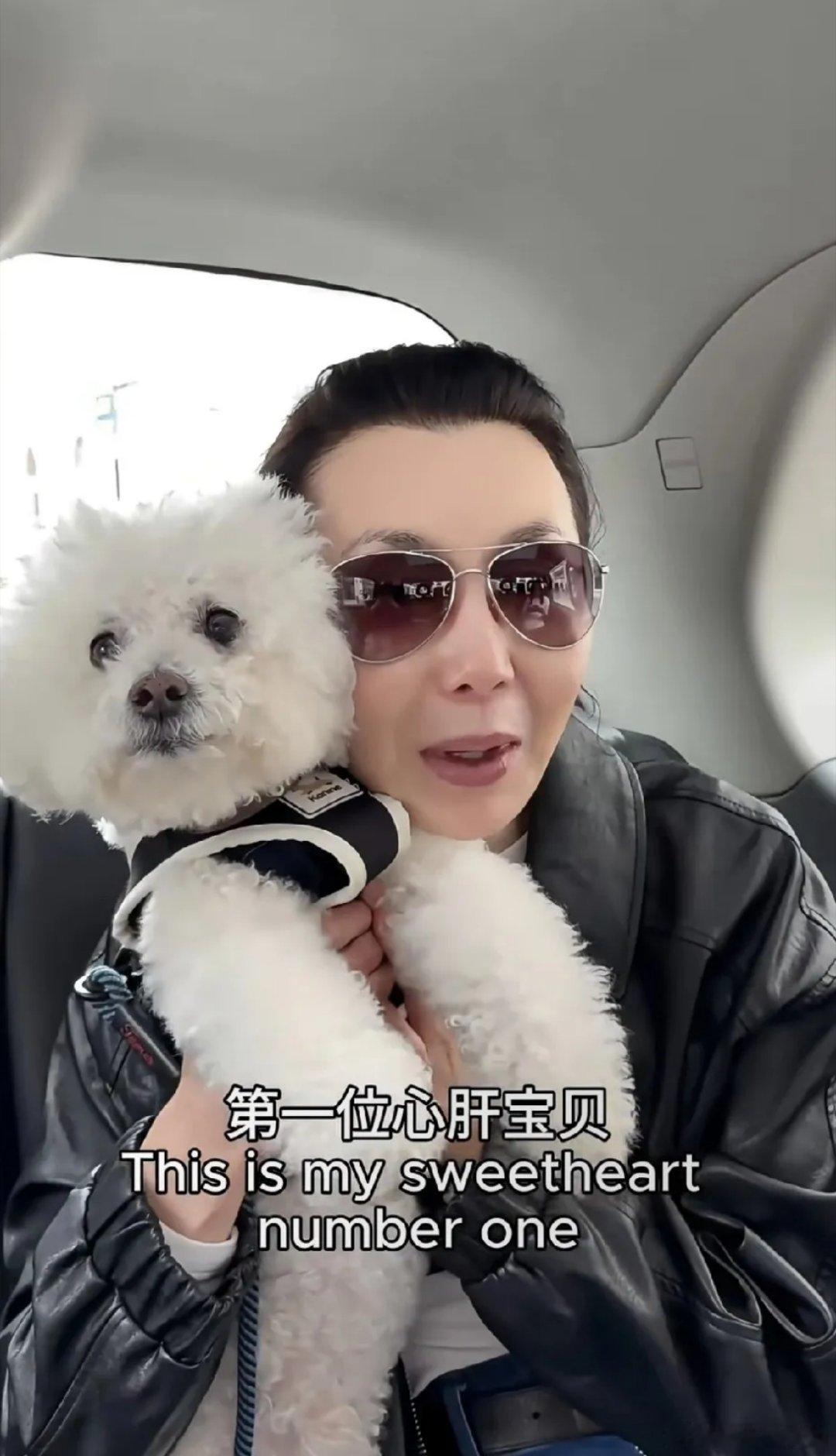 女神张曼玉晚年生活过得一点都不寂寞，她带着两只宝贝狗狗去逛街购物，一人两狗画面感