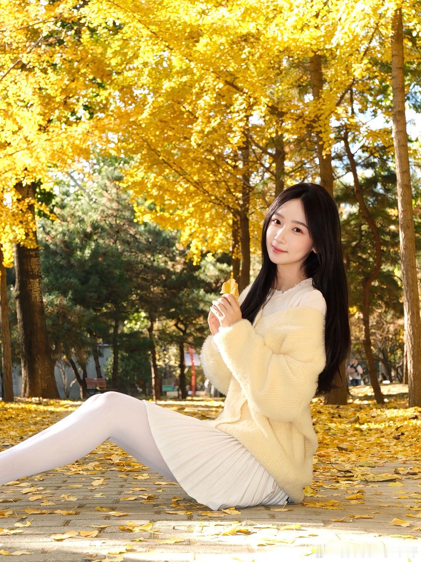 秋天里的色彩，温暖的阳光~