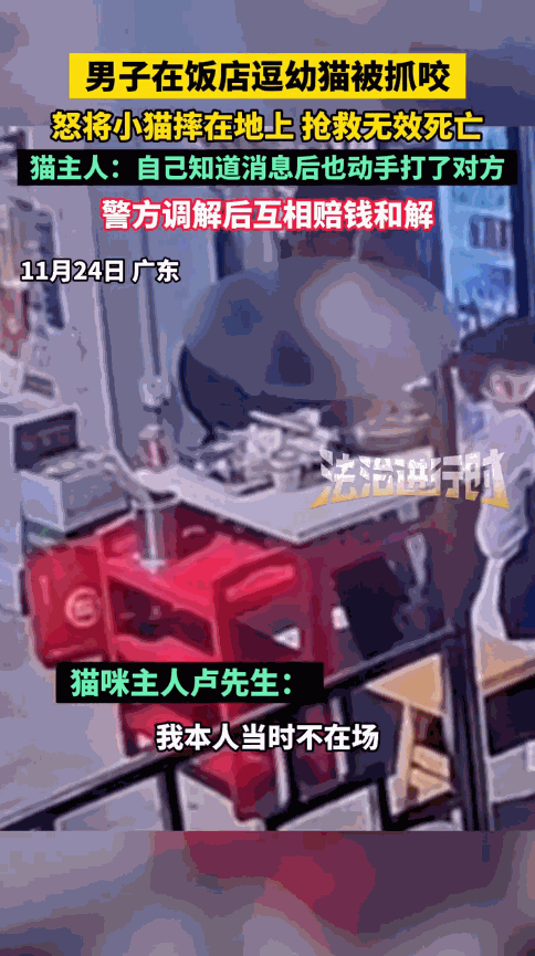 “严查到底！”11月24日，广东珠海，一男子去健身房锻炼，委托朋友帮忙把小猫送回