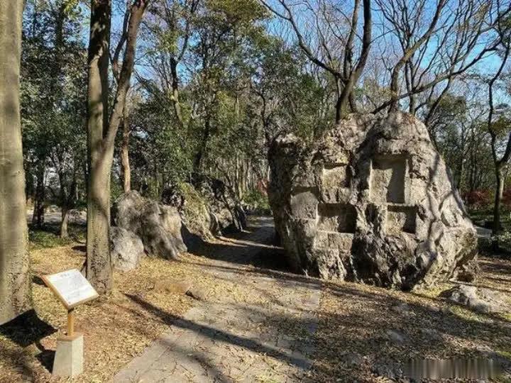 1995年，杨丽萍嫁给45岁的富商刘淳晴，老公等了她七年，在她44岁的时候想要孩